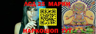 гидропоника Жуковский