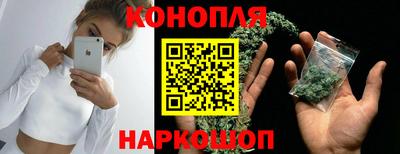 гидропоника Жуковский