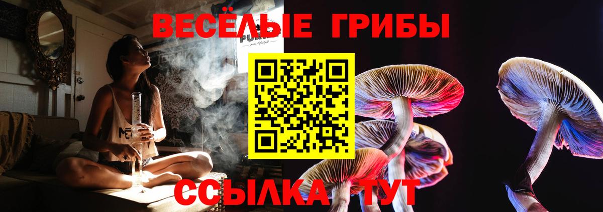 Галлюциногенные грибы мицелий Наро-Фоминск